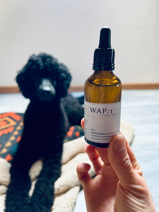 WAP: 1 Tassolja från WAP Dog Care